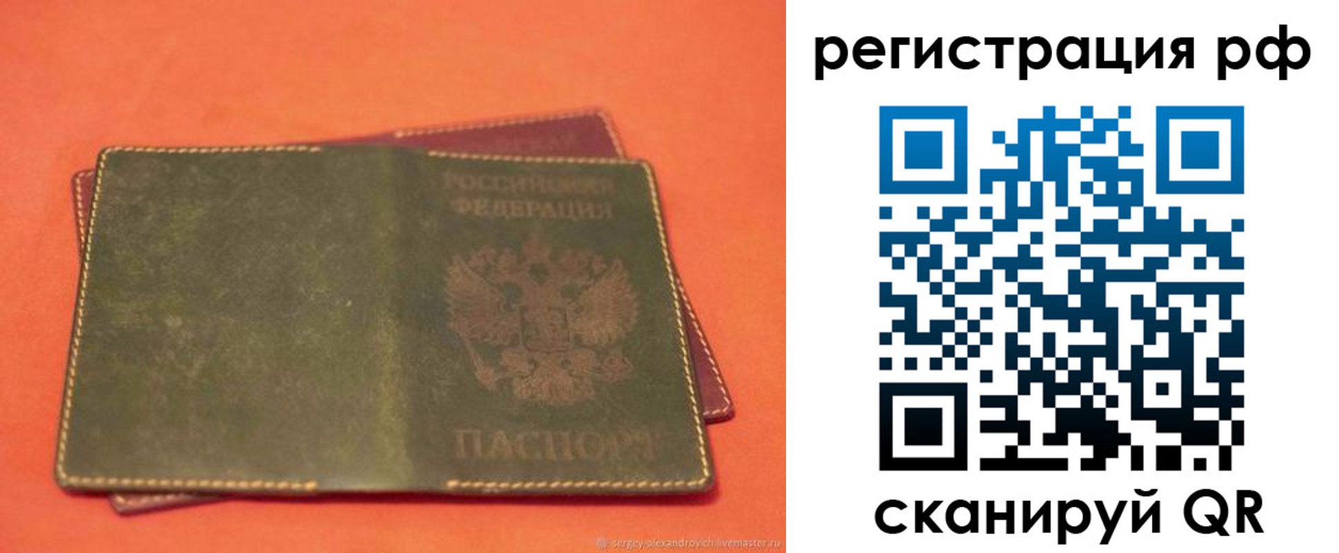 прописка 2025 в Светлогорске
